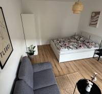 Helle 1-Zimmer-Wohnung mit Holzboden und geschmackvollen Dekorationen.
