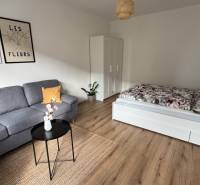 Wohnzimmer in einer Einzimmerwohnung mit Sofa, Bett und Holzboden.