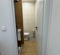 Badezimmer mit Toilette und Duschkabine in einer Einzimmerwohnung, Boden mit Holzdekor.