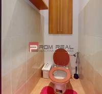 Toilette in einer 4-Zimmer-Wohnung mit Holzdekor und rotem Teppich.