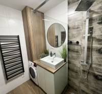 Badezimmer in einer 2-Zimmer-Wohnung mit Waschbecken, Dusche und Waschmaschine, Boden mit Holzdekor.