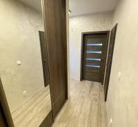 Flur mit Holzboden, Einbauschrank und Türen in einer 2-Zimmer-Wohnung.