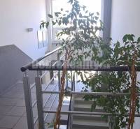 Büros mit Pflanzen und Treppe, Wände geschmückt mit Bildern und Feuerlöscher.