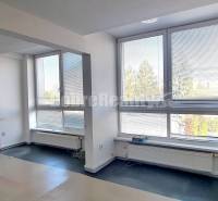 Ein geräumiges Büro mit großen Fenstern und einem Boden in Holzoptik.