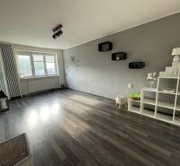 Wohnzimmer mit Holzboden, Dekorationen und Regalen in einer 3-Zimmer-Wohnung.