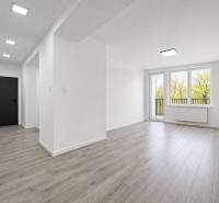 Helles Interieur einer 3-Zimmer-Wohnung mit Holzboden und großen Fenstern.