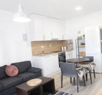 Wohnzimmer mit Küche in einer 2-Zimmer-Wohnung, Boden mit Holzdekor.