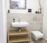 Badezimmer mit Waschbecken und Spiegel, einfache Dekoration und helle Wandfliesen in einer 2-Zimmer-Wohnung.