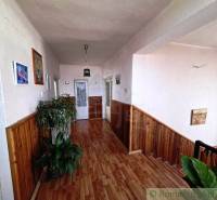 Ein Flur mit Holzboden in einem Einfamilienhaus, dekoriert mit Pflanzen und Bildern.