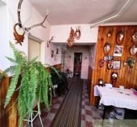 Innenraum eines Einfamilienhauses mit Jagdtrophäen und Farnen im dekorativen Stil.