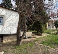 Ein Einfamilienhaus in Podkerepušky in Záhorská Bystrica, umgeben von Bäumen und einem grünen Rasen.