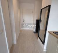 Flur mit Spiegel, Holzboden und Küchenzeile in einer 2-Zimmer-Wohnung.