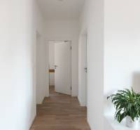 Weißer Innenflur mit Holzboden und Pflanze neben dem Fernseher.