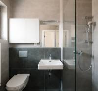 Badezimmer in einer 4-Zimmer-Wohnung mit Waschbecken, Dusche, WC und Schrank.