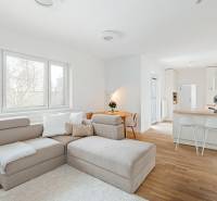 Helles Wohnzimmer mit Küchenzeile, Sofa und Holzboden.