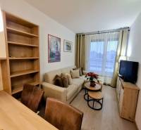 Wohnzimmer in einer 2-Zimmer-Wohnung mit Sofa, Fernseher, Regalen und Holzboden.