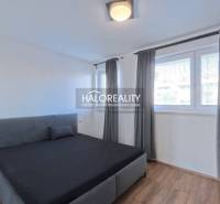 Schlafzimmer mit Bett in einer 2-Zimmer-Wohnung, Fenster mit Rollläden, Boden mit Holzdekor.
