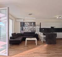 Wohnzimmer und Küche in einer 2-Zimmer-Wohnung mit Holzboden.