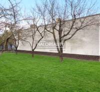 Ein Garten mit Rasen und Bäumen bei einem Einfamilienhaus in Poltár.