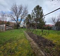 Garten in Bohdanovce mit Rasen und Bäumen, ideal für Baugrundstücke - Wohnen.