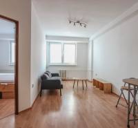 Innenraum einer 2-Zimmer-Wohnung mit Sofa, Tisch und Boden in Holzoptik.