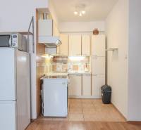 Küchenzeile mit Kühlschrank und Mikrowelle in einer 2-Zimmer-Wohnung, Boden mit Holzdekor.