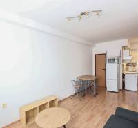 Helle 2-Zimmer-Wohnung mit Holzboden, Küche und Esstisch.
