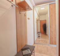 Der Flur in einer 2-Zimmer-Wohnung mit einem Boden in Holzoptik und einem Einbauschrank.