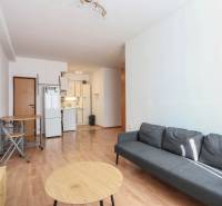 Wohnzimmer in einer 2-Zimmer-Wohnung mit Holzboden und grauem Sofa.