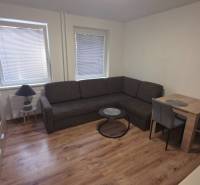 Wohnzimmer in einer Einzimmerwohnung mit Holzboden, Sofa und Esstisch.