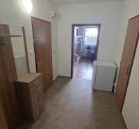 Eingangsbereich und Flur in einer Einzimmerwohnung mit Holzboden.