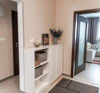 Innenraum einer 4-Zimmer-Wohnung mit hellen Möbeln, Teppich und Zimmerpflanzen.
