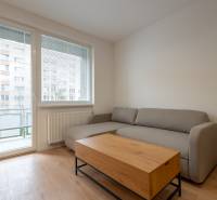 Graues Sofa in einer 3-Zimmer-Wohnung mit einem Tisch und einem Boden in Holzoptik.