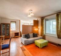 Wohnzimmer mit Sofa, buntem Teppich und Holzboden in einer 3-Zimmer-Wohnung.