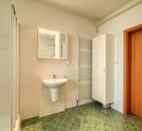 Badezimmer in einer 3-Zimmer-Wohnung mit Waschbecken, Duschkabine und Heizkörper.