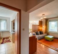 Wohnzimmer mit Holzboden und Aussicht, 3-Zimmer-Wohnung.