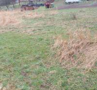 Erholungsgrundstücke in Púchov mit Rasenfläche und trockener Vegetation.