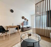 1-Zimmer-Wohnung mit Holzboden, Trennwand und Fernseher.