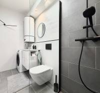 Badezimmer in einer Einzimmerwohnung mit Waschbecken, Dusche und Waschmaschine auf hellem Fliesenboden.