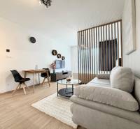 Stilvolle 1-Zimmer-Wohnung mit Holzboden, Sofa und Essecke.