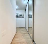 Flur mit Holzboden und Einbauschrank in einer Einzimmerwohnung.