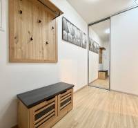 Flur einer Einzimmerwohnung mit Garderobenwand und Boden in Holzoptik.