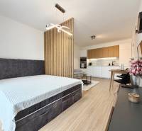 1-Zimmer-Wohnung mit Kochnische, Bett und Boden in Holzoptik.