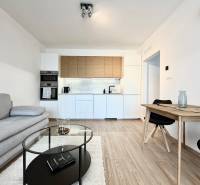 1-Zimmer-Wohnung mit Holzboden, Küchenzeile und grauem Sofa.