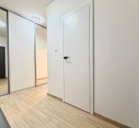 Eingangsbereich einer Einzimmerwohnung mit Holzboden und Einbauschrank.