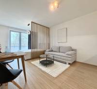 Wohnzimmer mit Sofa und Esstisch, Holzboden, Einzimmerwohnung.