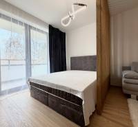Schlafzimmer in einer Einzimmerwohnung mit Bett, Sofa und Holzboden.