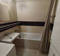 Badezimmer mit Duschvorhang, Badewanne und Waschbecken in einer 4-Zimmer-Wohnung.