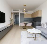 2-Zimmer-Wohnung mit Holzboden, grauem Sofa und minimalistischer Küche.