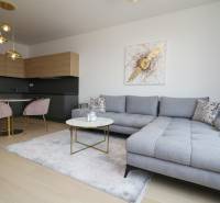 Stilvolles Wohnzimmer mit Sofa und Küche in einer 2-Zimmer-Wohnung.